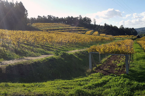 Pazo de Senorans