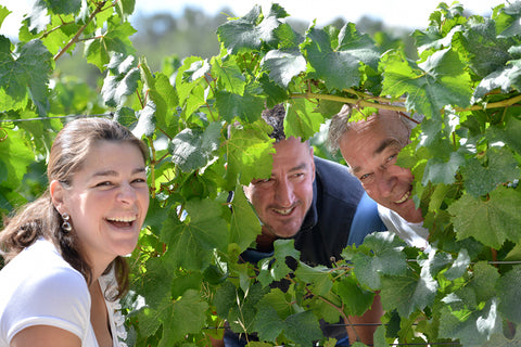 Domaine de Trevallon