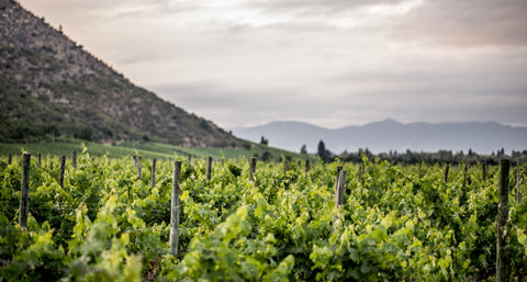 Veramonte