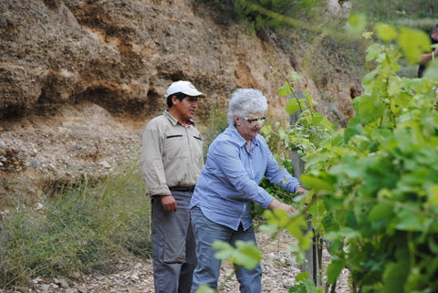 Celler Cesca Vicent