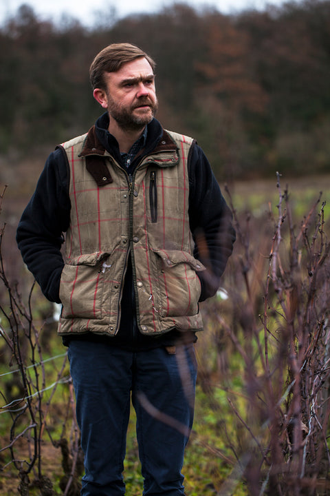 Domaine de Villaine