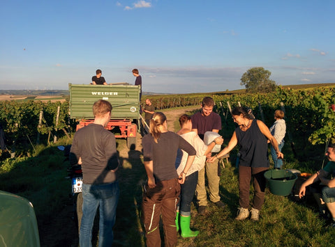 Weingut Mann