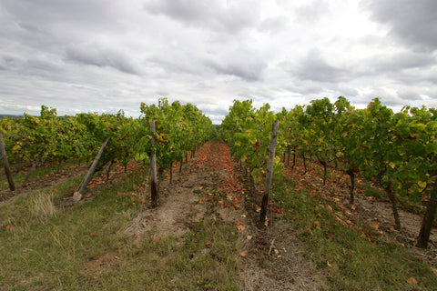 Windisch