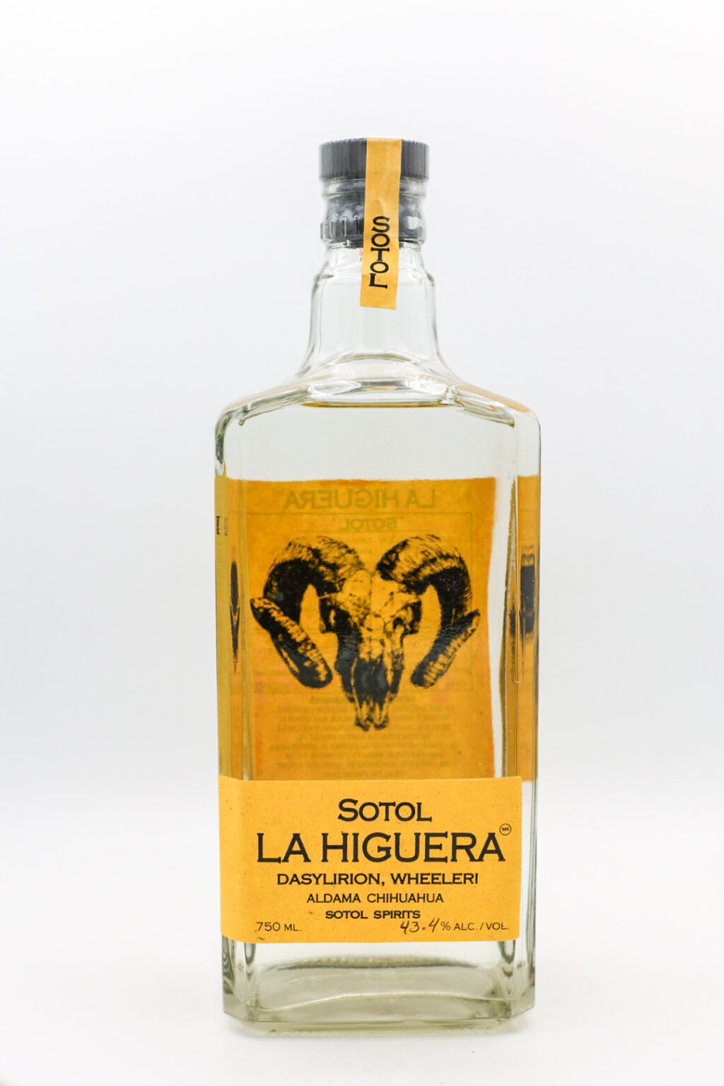 Sotol la Higuera Wheeleri