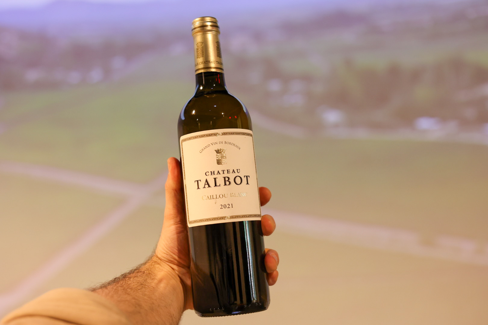 Chateau Talbot Caillou Bordeaux Blanc 2019