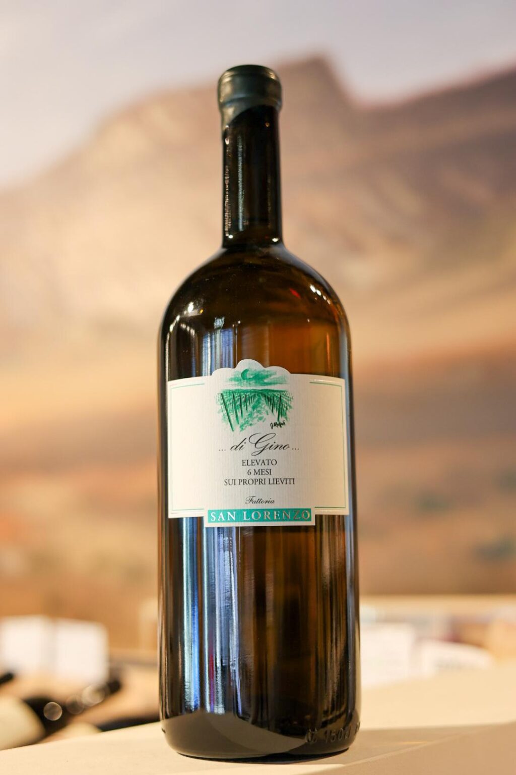 San Lorenzo Marche Bianco di Gino Magnum 2021